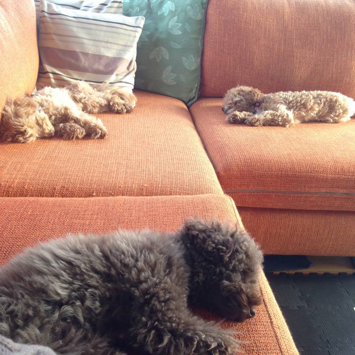 522c78c6 b81e 43ba 961e 96340d7f77d3