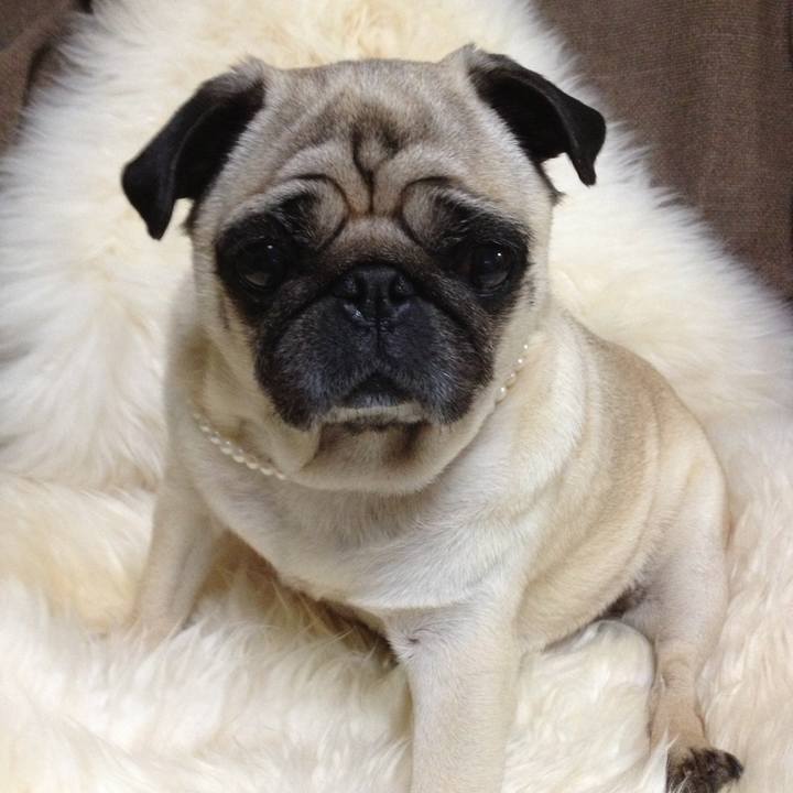 522cb3ee c358 4e23 a064 ca7bb4e97057