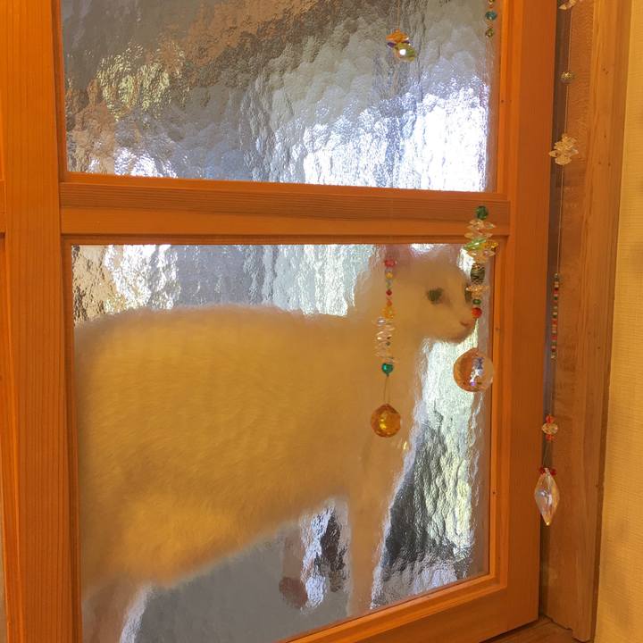 522cc9e4 985a 4e31 bf0b 44f618c3d96f