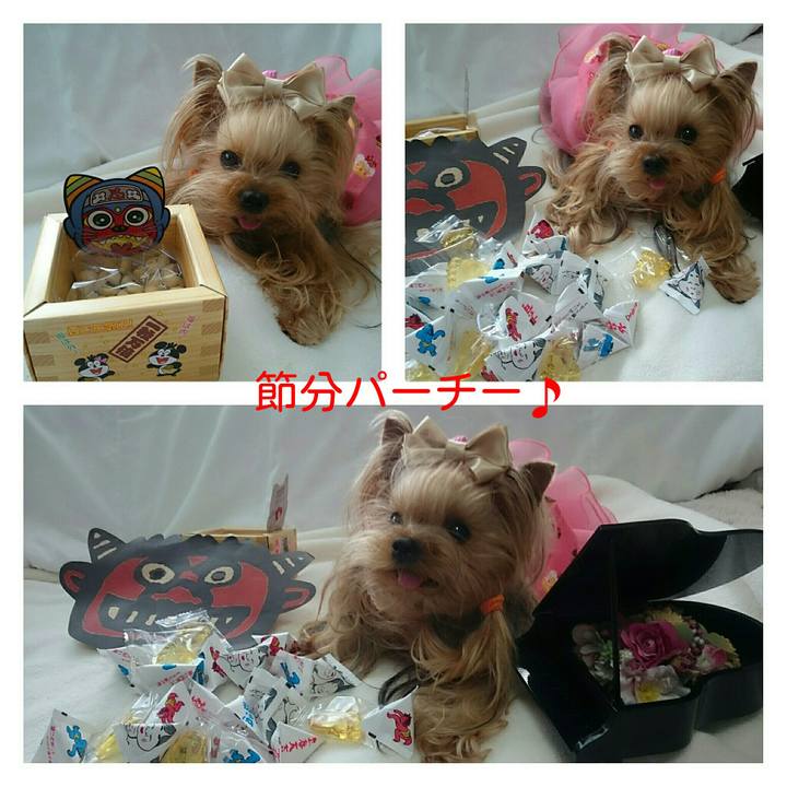 522d7302 23ab 44a5 aff4 a2b731fe0497