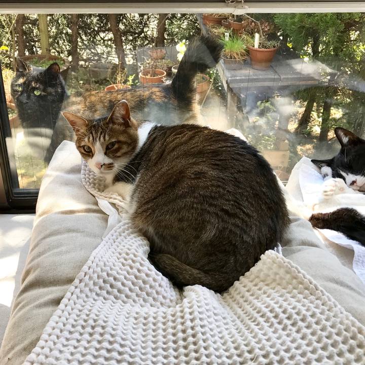 522e345c a5b7 425f b4c0 e1cd416f615c