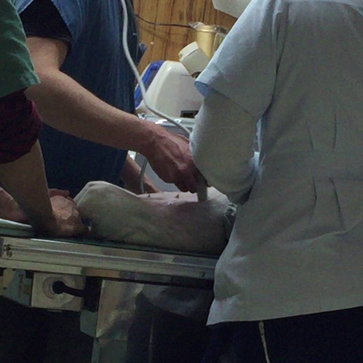 522e9a18 5a48 4525 b7bf b123e5d4c1f5