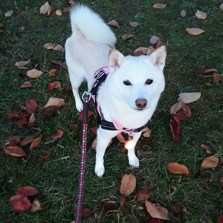 522e9b81 bcb8 42c3 aa81 bfa257140b06