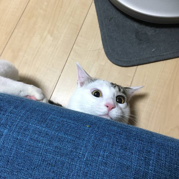 522f84fe 53cd 4f90 81db 05734ea96c10