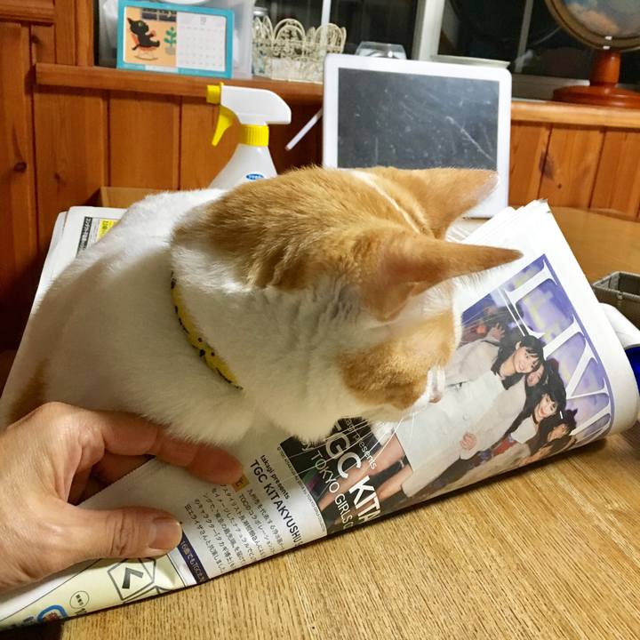 522fa8b0 c9f8 4a3a 8fd7 e3c77b47ae11