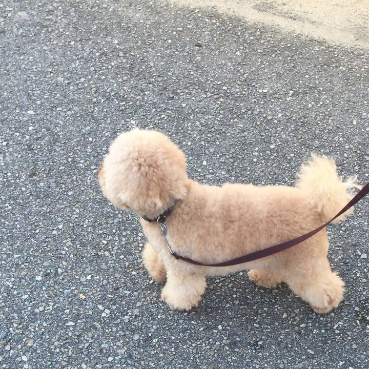 52309f8a 9197 48dc ae46 135df0fff1d9