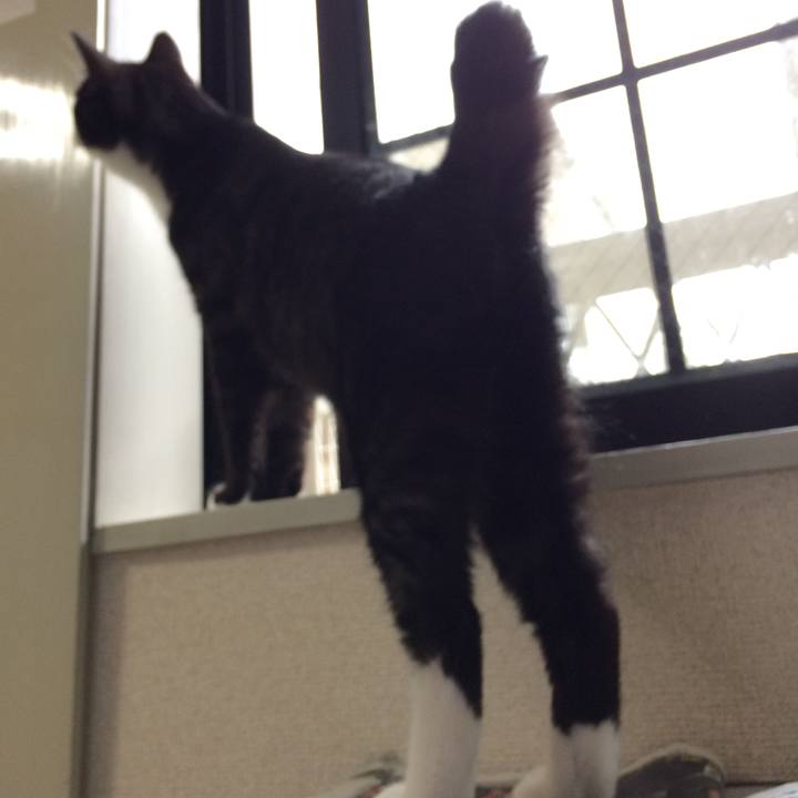 5230c545 a856 48b7 8a11 57efcf3950ea