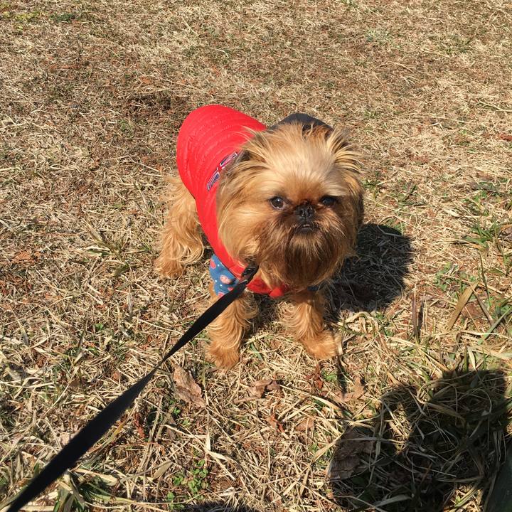 52315d88 01f5 4991 a3d4 8f32479388e6