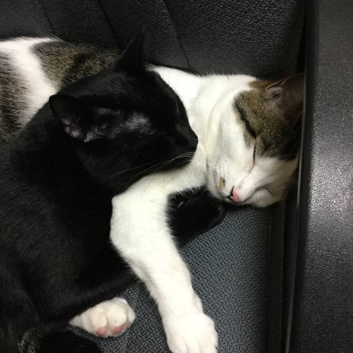 52317900 2a65 47df b321 8991550317fe