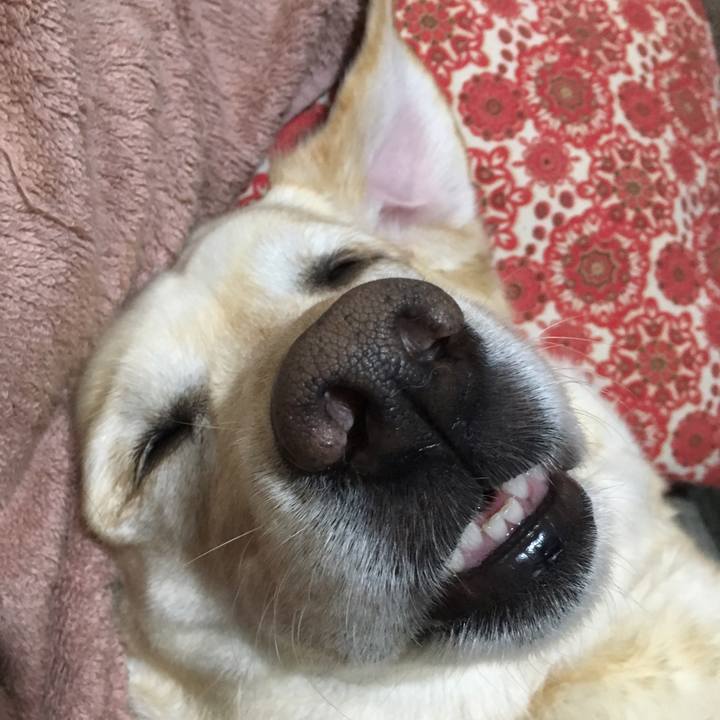 52318425 c374 448d 91be 08c60ca26f17