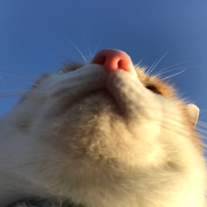 5231e113 01fa 47bd 9c97 b210f55d5c64