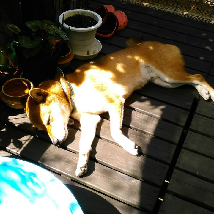 5231f9ef c339 4823 9ba9 7d2db5c27c8a