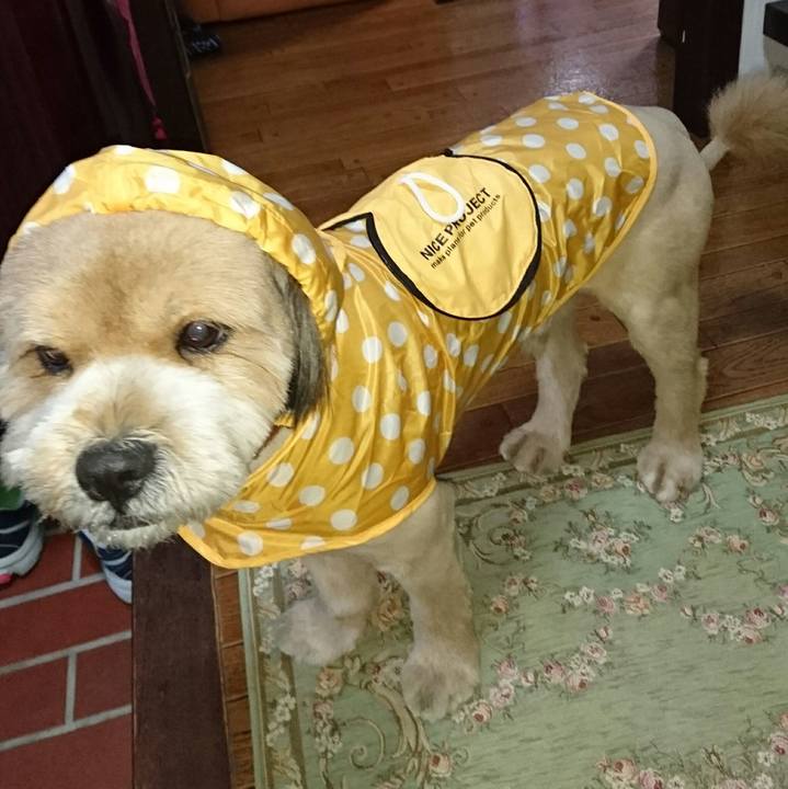 52321c58 afbb 473a b5eb d5eec59e5b3f