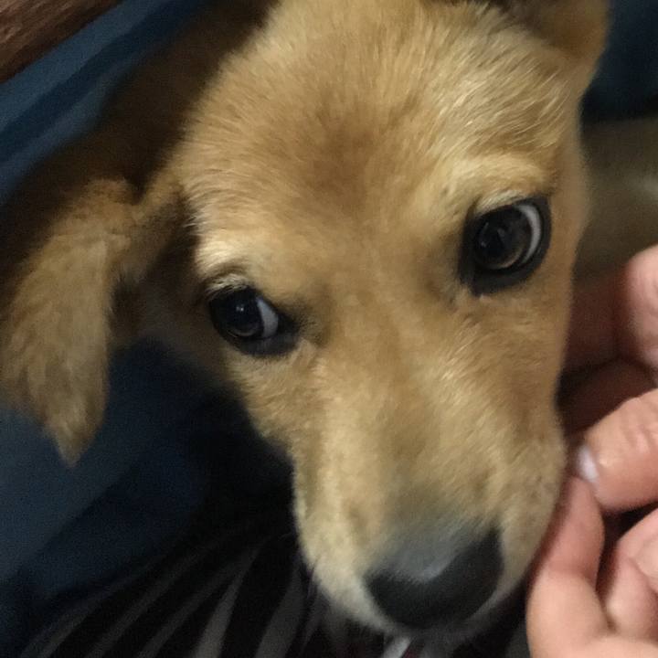 5232235a 8593 4a66 bc06 66f4e999f600