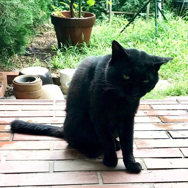 5232cbf3 0f92 4e8b ab62 69f372499f91