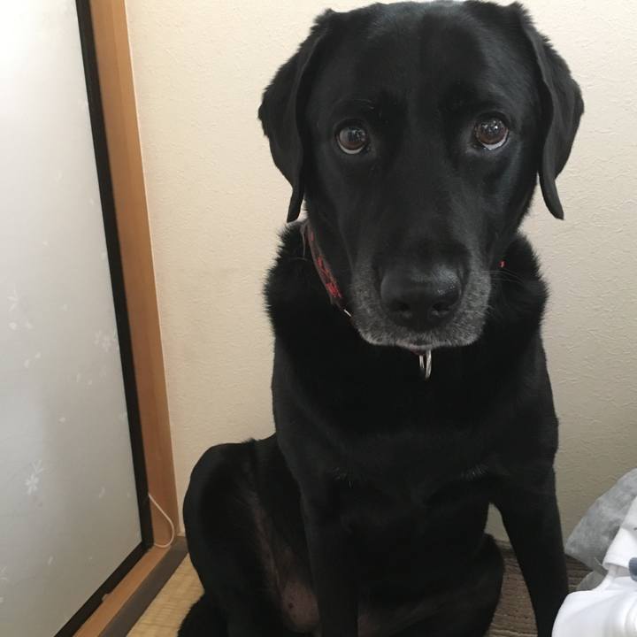 5232ec29 1834 431e b184 a2453eba28c9