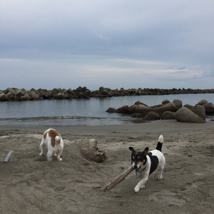 5233929a 403f 4718 826f d908f654f49c