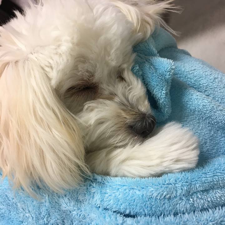 5234040b d08c 45d4 9700 ade46f90087d