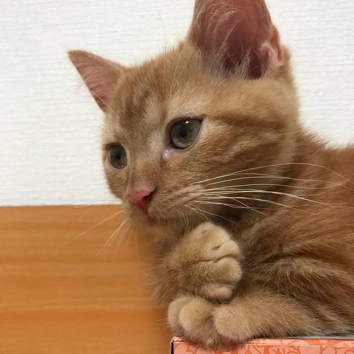 52345b1d bb44 448e bd13 b58d1f3e1bc0