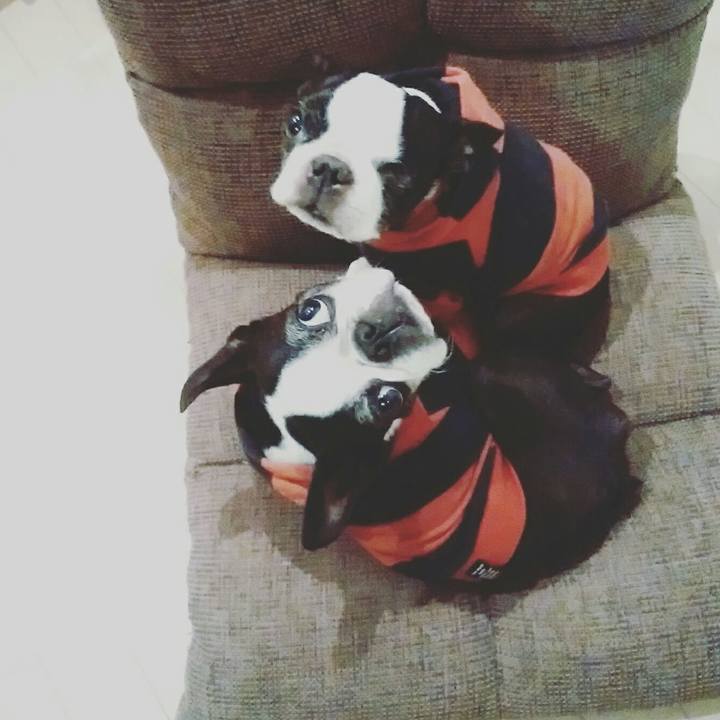 52349f2f 9326 4df7 aaf4 30f6a7744ebd