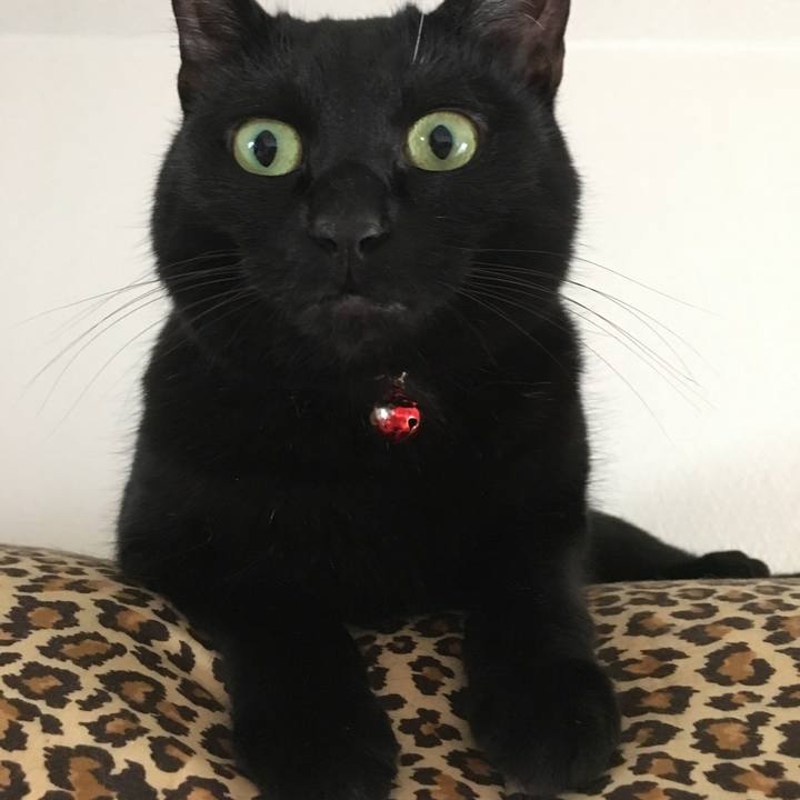 5234a1ee b9ce 4be4 a75d 8946ac77a5a3