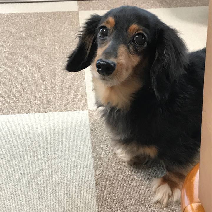 5234a3b1 2b37 4cd1 9a32 007b547c6dce