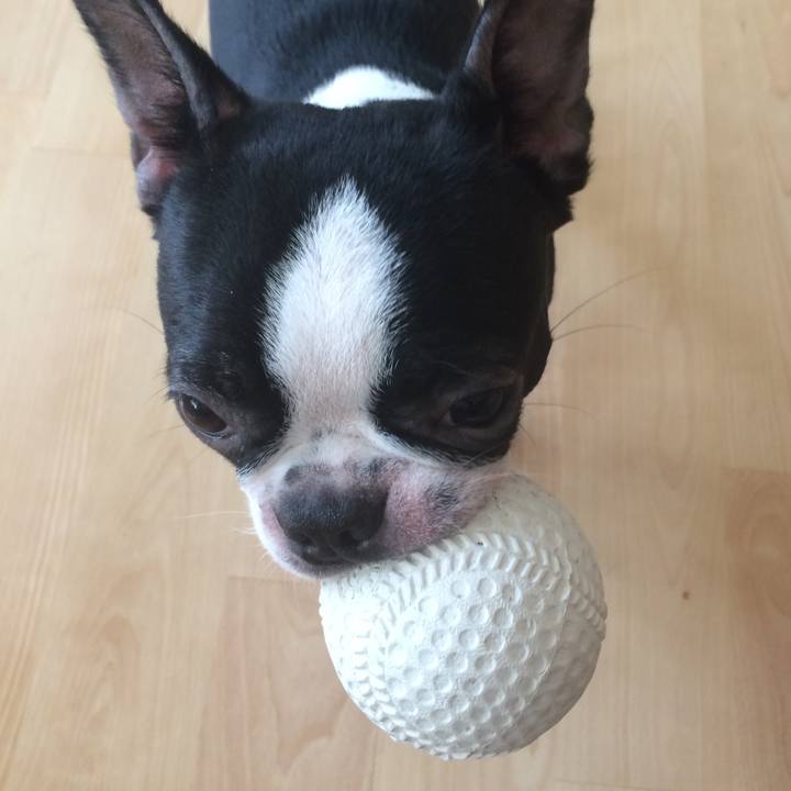 52350824 6fd4 4771 9a81 cbd3bc220e94