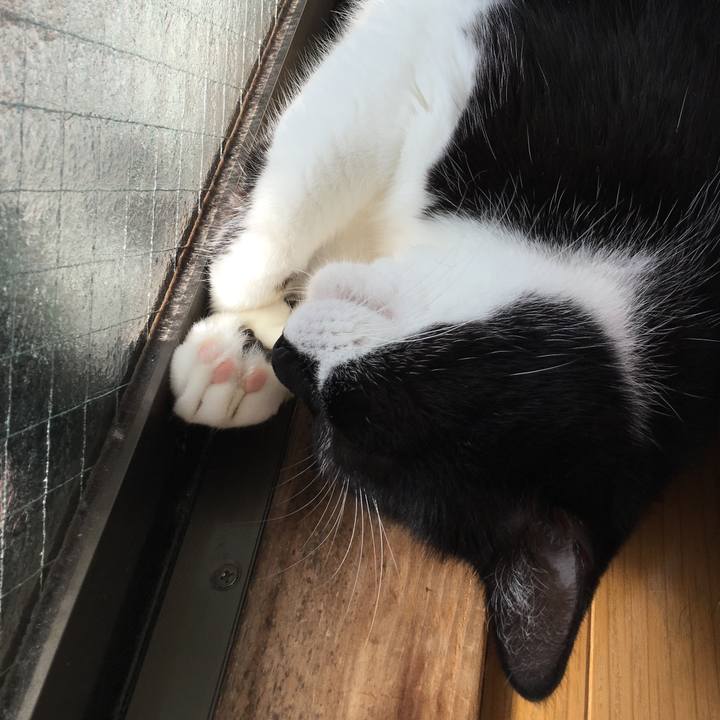 52351e87 1ce5 40d5 8edf 4c0547afea38