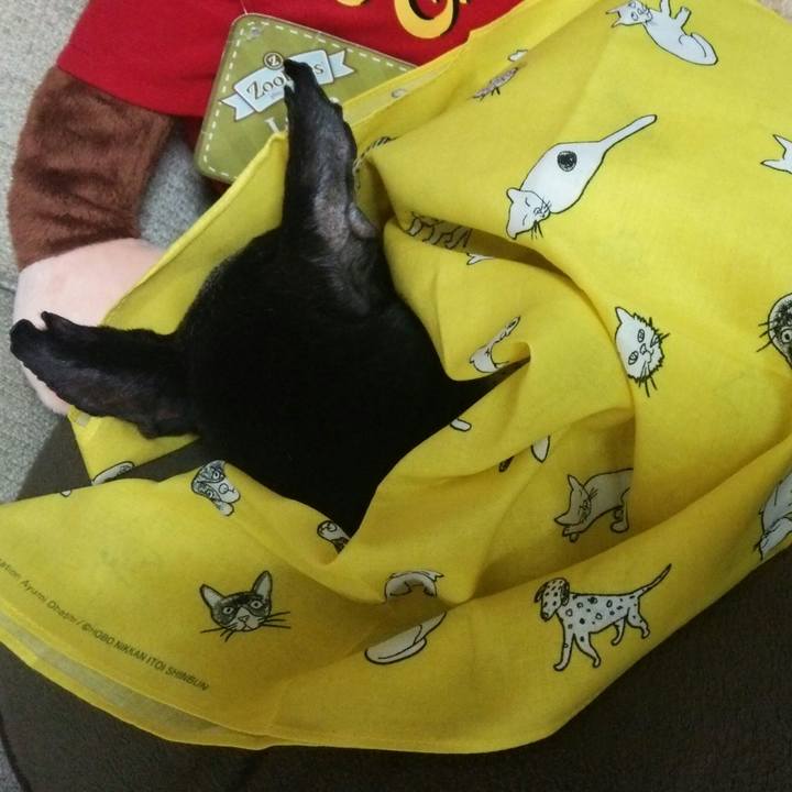 5237945b 4259 42ff b940 6510a491a6d0