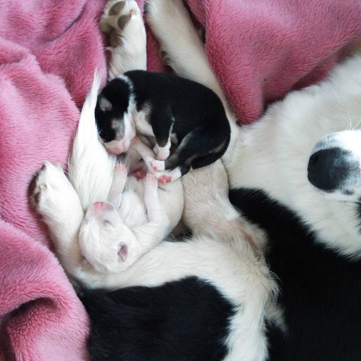 5237db03 7f37 4839 a1b9 f4db3334643e