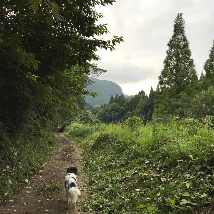 5238719f 7aeb 49c1 b70f 26a67f8e778c