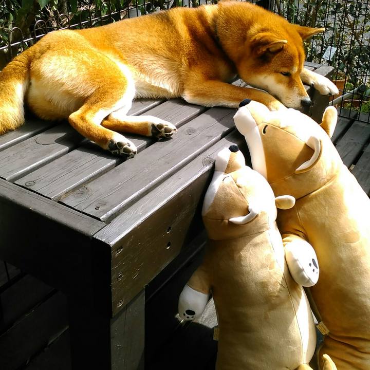 52388c88 2a22 4f64 b538 634272230d8f