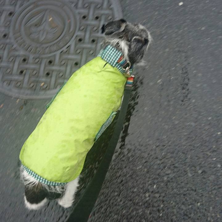 5238993d 13b6 41fa bd08 ad1431634970