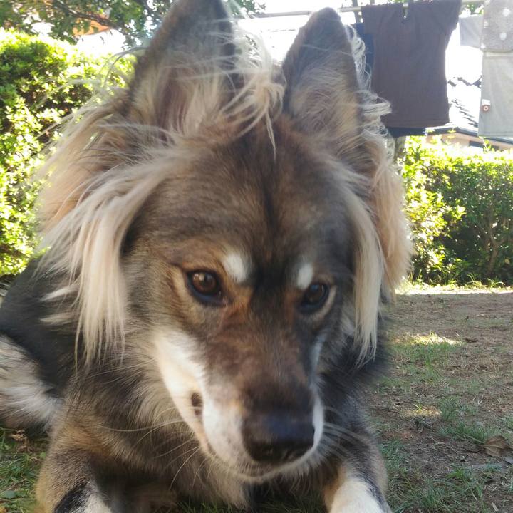 523a47cc 2fdb 46f3 82df 1308ca83323c