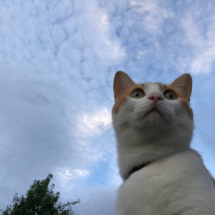 523b0044 3b55 4426 a988 b41b7c87bace