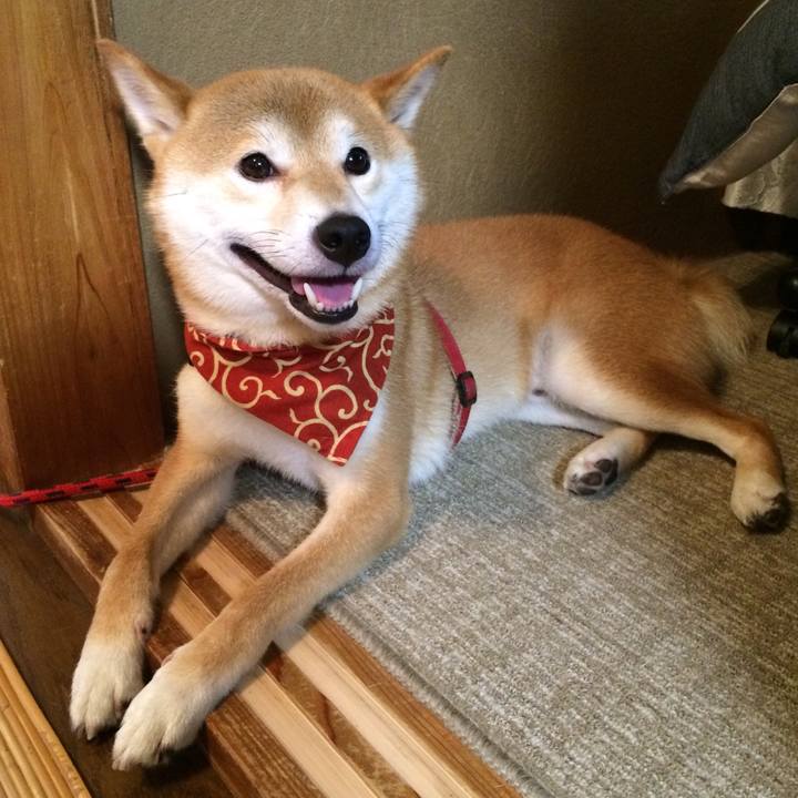 523b2e30 284d 4598 ab17 f4063a4771b6