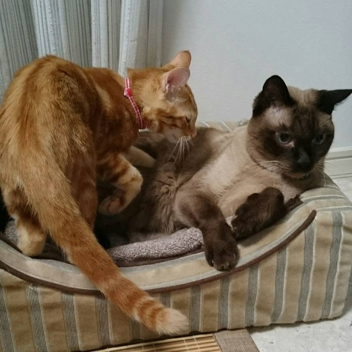 523b44ca 006e 43ed b5c1 3cae19ed2c7e