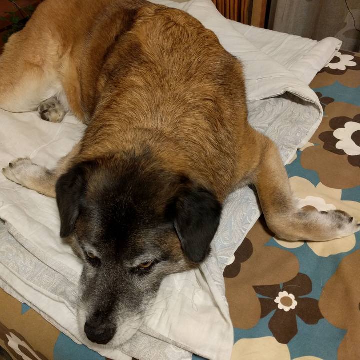 523c14b9 6606 4490 bac3 2a1d79046fb9