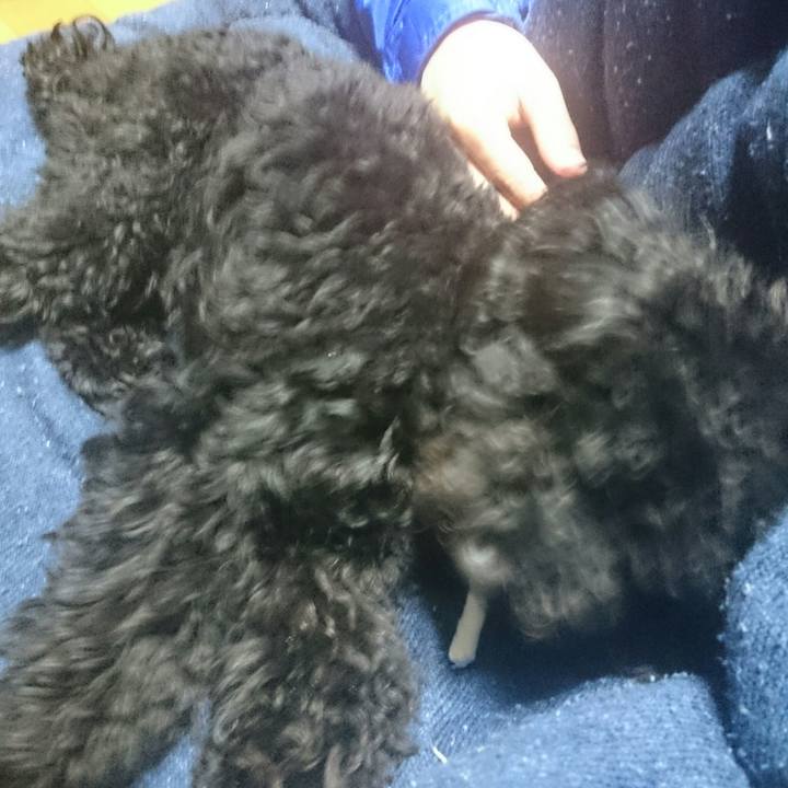 523c33f3 42ac 466b bc28 16db21f666e0