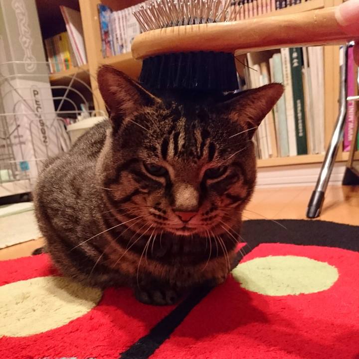 523c45fa 90b1 4eac 99f0 15ec5cf3cee1