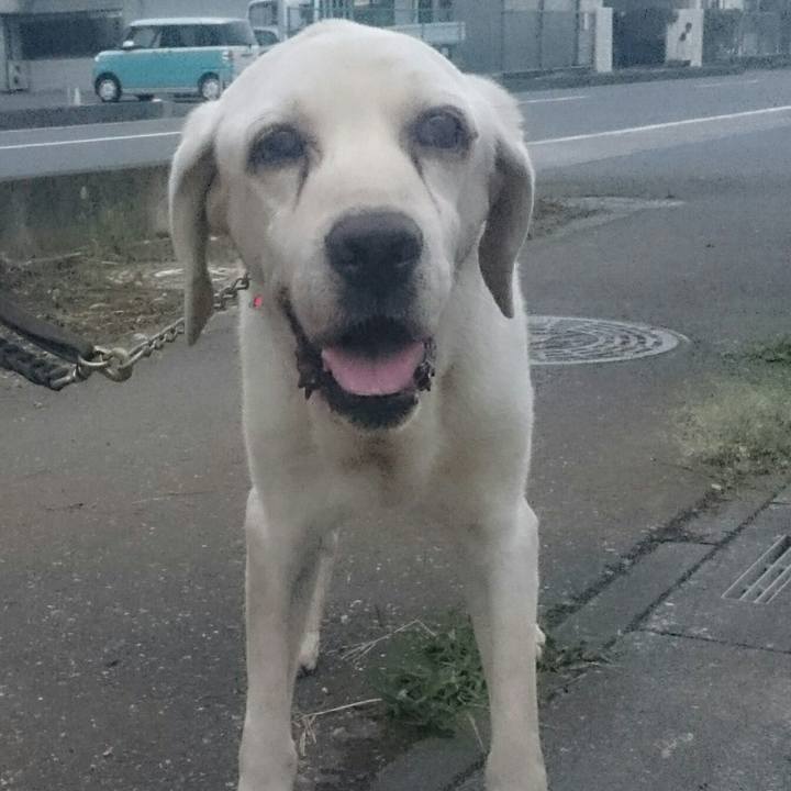 523e5c3d ed2d 4bb3 8908 54c2c1b41c44