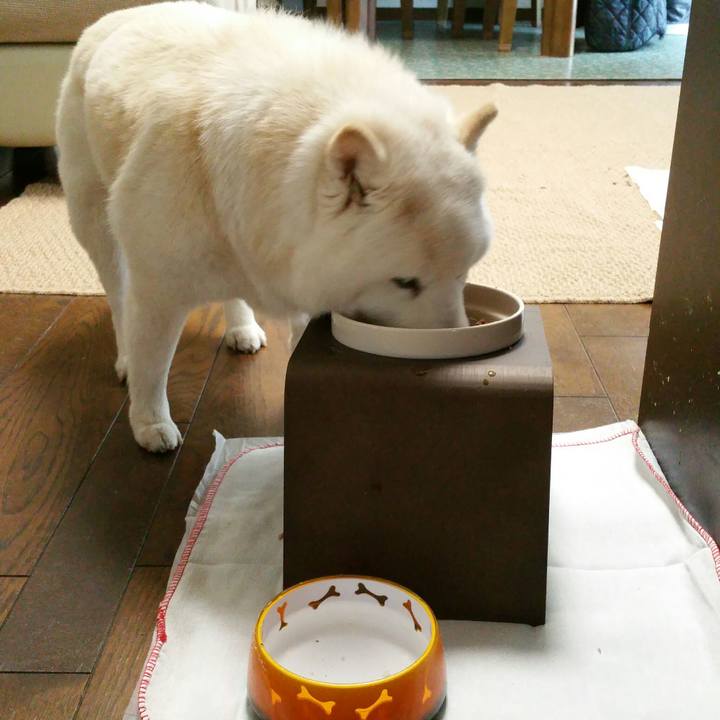 523e636f e8a2 4f6f ac1d a672948bafd0