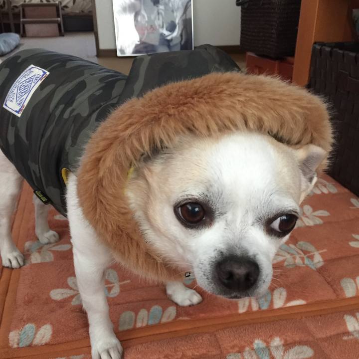 523ea633 601c 44ef 8516 cfee59b471e7