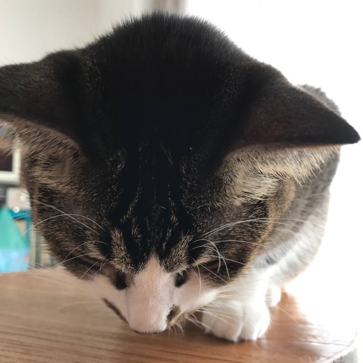 523f470f a99b 401d 9420 fccf0bbf33c3