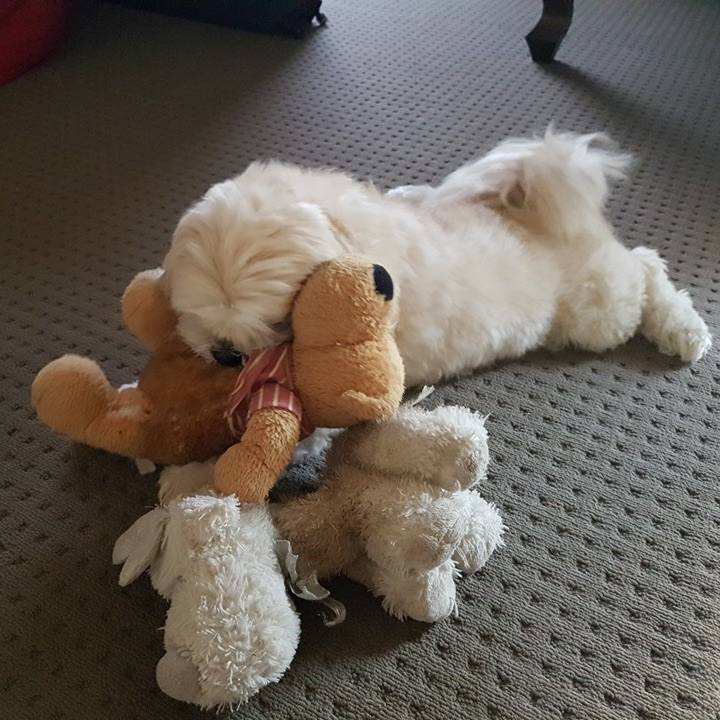 523f8250 069d 49e3 b2a5 866ba674913a