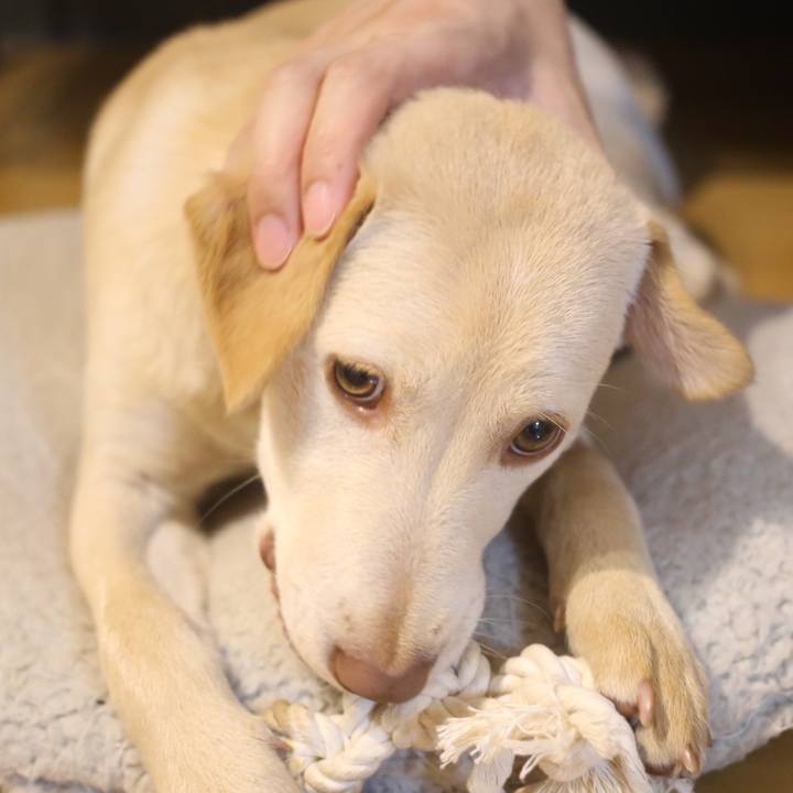 523fa14e 8782 4e09 bad3 09030d9b8b28