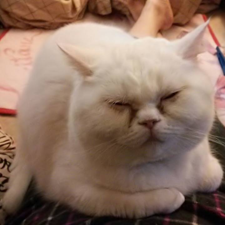 523fefa0 4ecf 4baa bb90 904b441ed0c5