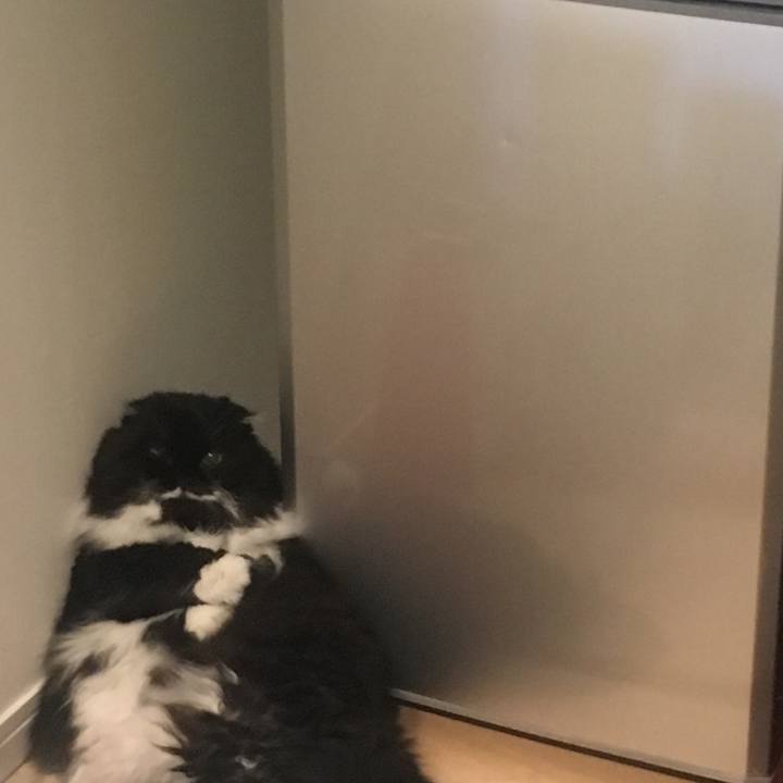 52413d06 b2b4 42bb 8a62 80f8b96dc5ca