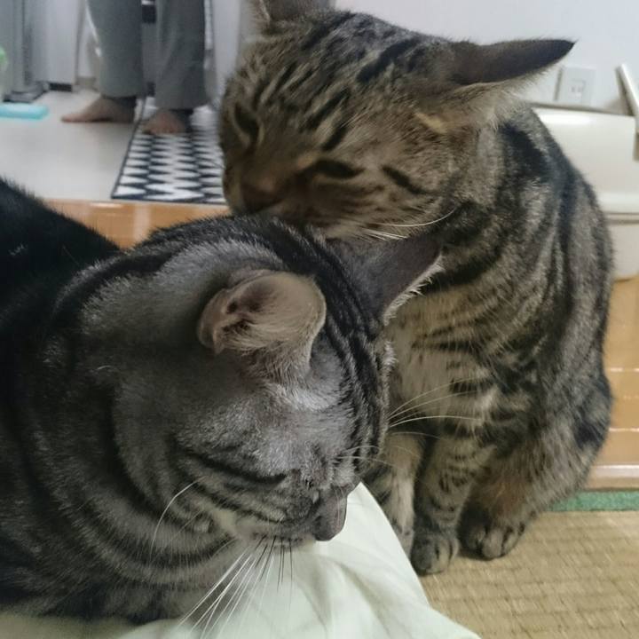 5241f5b1 f31d 4224 992a c6cbd7dcb4b1