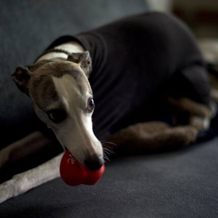 524316ee 5970 4bb8 b2fa 07b78c31f4d6